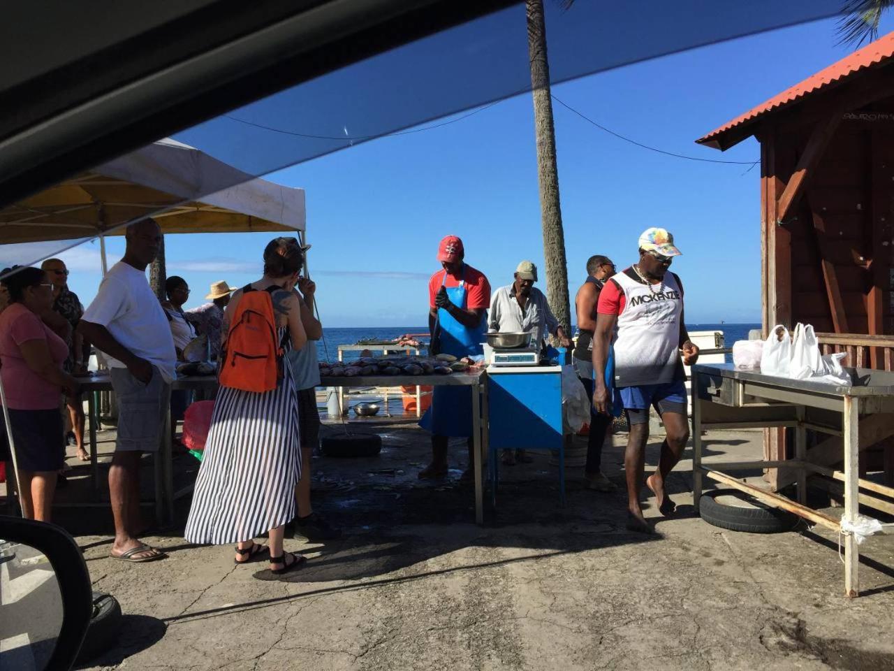 T2 tropical en bord de piscine à 100m de la mer Leilighet Le Carbet Eksteriør bilde